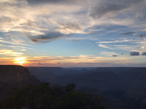 Meet your Posher, Nava